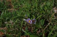 Unterwegs in Namibia