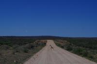 Unterwegs in Namibia