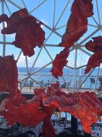 Der Diamant an Bord der Mein Schiff 5