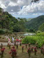 Traumhaft schöner Balata-Garten auf Martinique