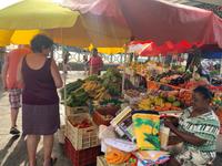 Marktbesuch in Pointe-à-Pitre auf Guadeloupe
