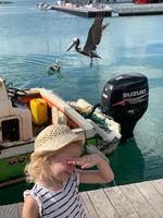 Am Fischmarkt in Pointe-à-Pitre