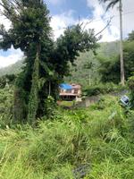 Das Inselinnere von Dominica