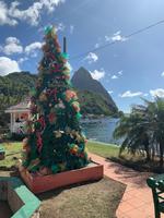 Weihnachtlicher Piton auf St. Lucia