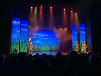 Musical-Show im Theater der Mein Schiff 5