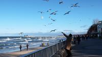 Strand Kolberg 