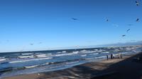 Strand Kolberg