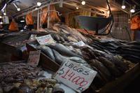 Santiago de Chile (15)