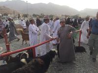 098 Freitagsmarkt Nizwa