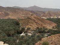 116 Birkat al Mauz