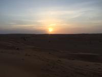 137 Wüstentour Wahiba Sands