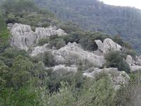 Kloster Lluc - wunderschöne Natur