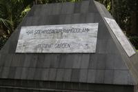 Mauritius - Botanischer Garten