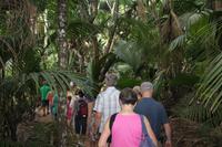 Seychellen/Praslin - Vallee De Mai