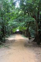 Seychellen - Mission Lodge