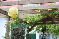 Seychellen -Mittagessen im Marie-Antoinette