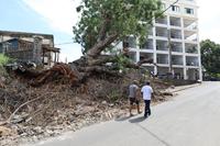 Madagaskar/Antsiranana