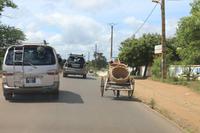 Madagaskar/Antsiranana - Fahrt zum Nationalpark