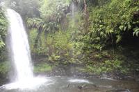 Madagaskar/Antsiranana - Nationalpark