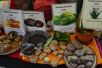 Besuch der Rastavillage Jamaika (6)