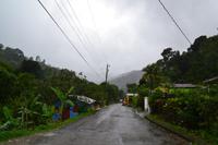 Blue Mountains Jamaika (3)