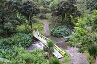 Blue Mountains Jamaika (13)