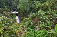 Bluemountains Jamaika (2)