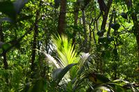 Cahiuta National Park (2)