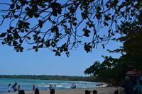 Cahuita National Park (3)
