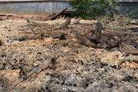 Cueva de las Maravillas (7)