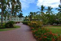 Hilton Hotel dom. Rep. (2)