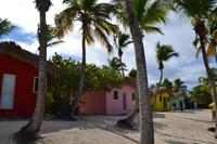 Isla Catalina (14)