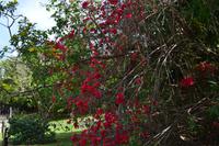 Tulum (2)
