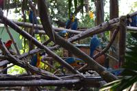 Zooanlage Cartagena (2)