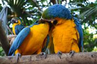 Zooanlage Cartagena (7)