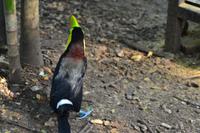 Zooanlage Cartagena (18)