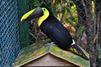 Zooanlage Cartagena (33)