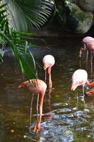 Zooanlage Cartagena (36)