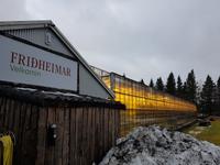 Island, Tomatenanbau Fridheimar