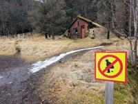 Island, Süden, Kirkjubaerklaustur, 