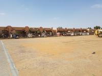 0520_Al Ain; Kamelmarkt.