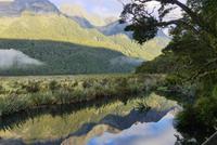 Te Anau - Milford, Mirror Lakes