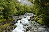 Te Anau - Milford, Wanderweg 