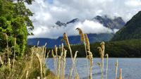 Milford > Te Anau, Wanderweg Lake Gunn