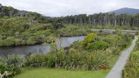 Ship Creek Wanderweg bei Haast