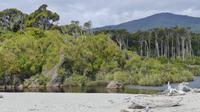 Ship Creek Wanderweg bei Haast
