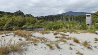 Ship Creek Wanderweg bei Haast