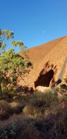 Spaziergang am Uluru