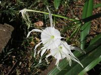 Wanderung um den Dulutisee