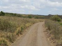 Arusha-Nationalpark -